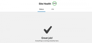 Get a 100% in WordPress Site Health Check Score